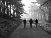 Walking Into The Fog (ED-008)