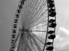 Navy Pier Ferris Wheel - Chicago (TO-026)