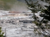Mammoth Hot Springs at Yellowstone (TO-030)